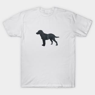 Chesapeake Bay Retriever aka Chessie T-Shirt